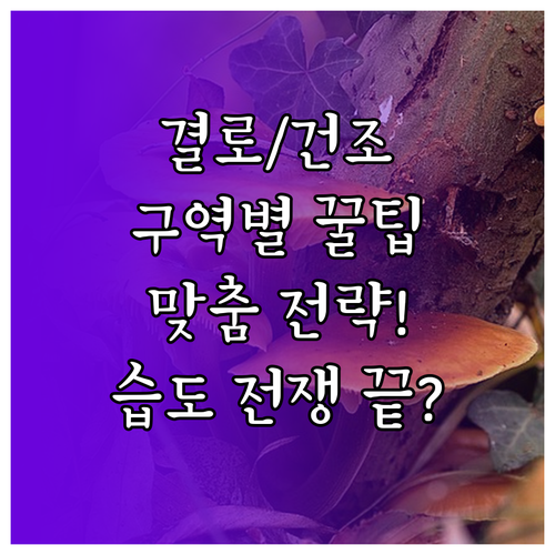 창가 결로 침실 건조: 구역별 맞춤 ..