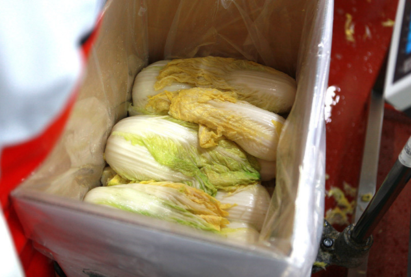 열정농부 배추 절임