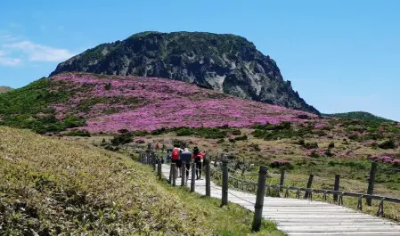 제주한달살기 준비물