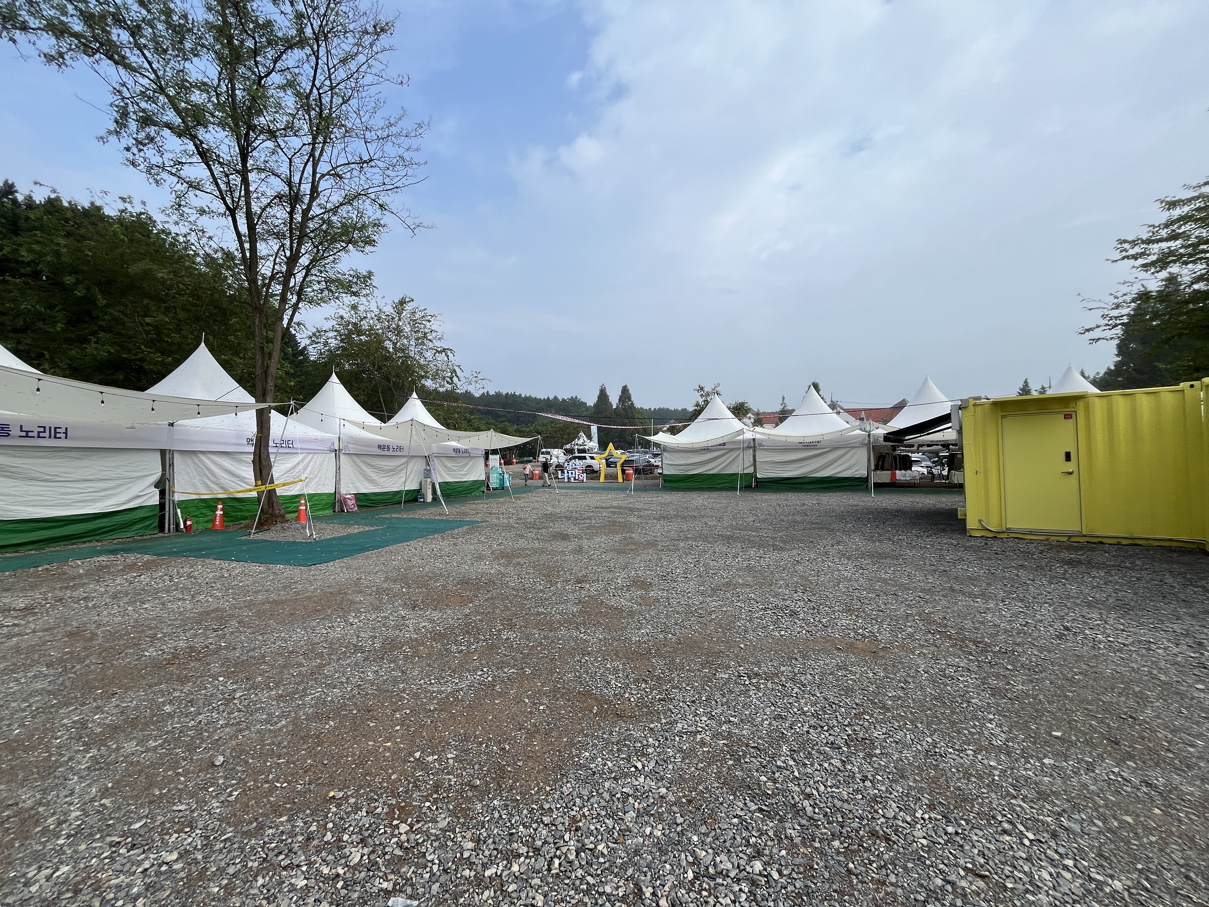 장항 맥문동 축제