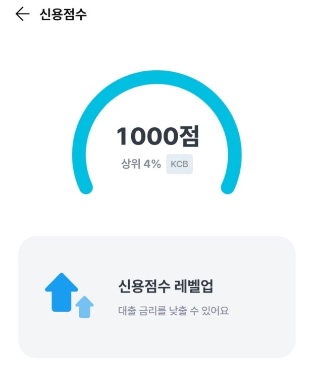 신용점수 레벨업