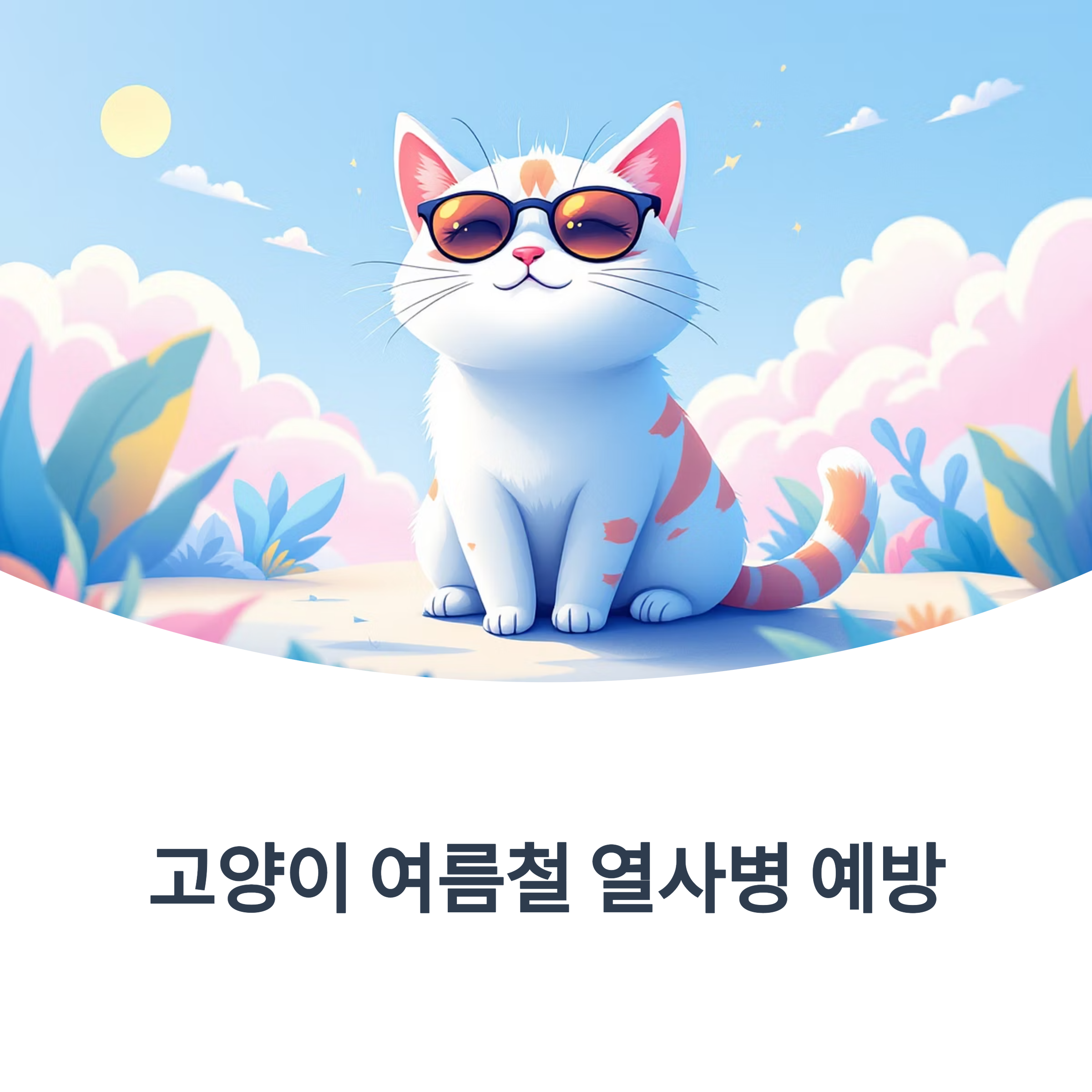 고양이 여름철 열사병 예방