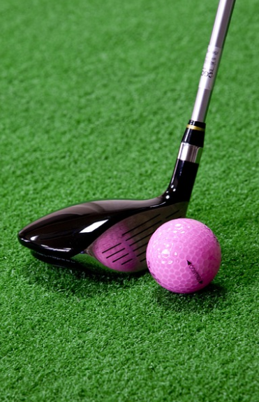 골프 관련 사진