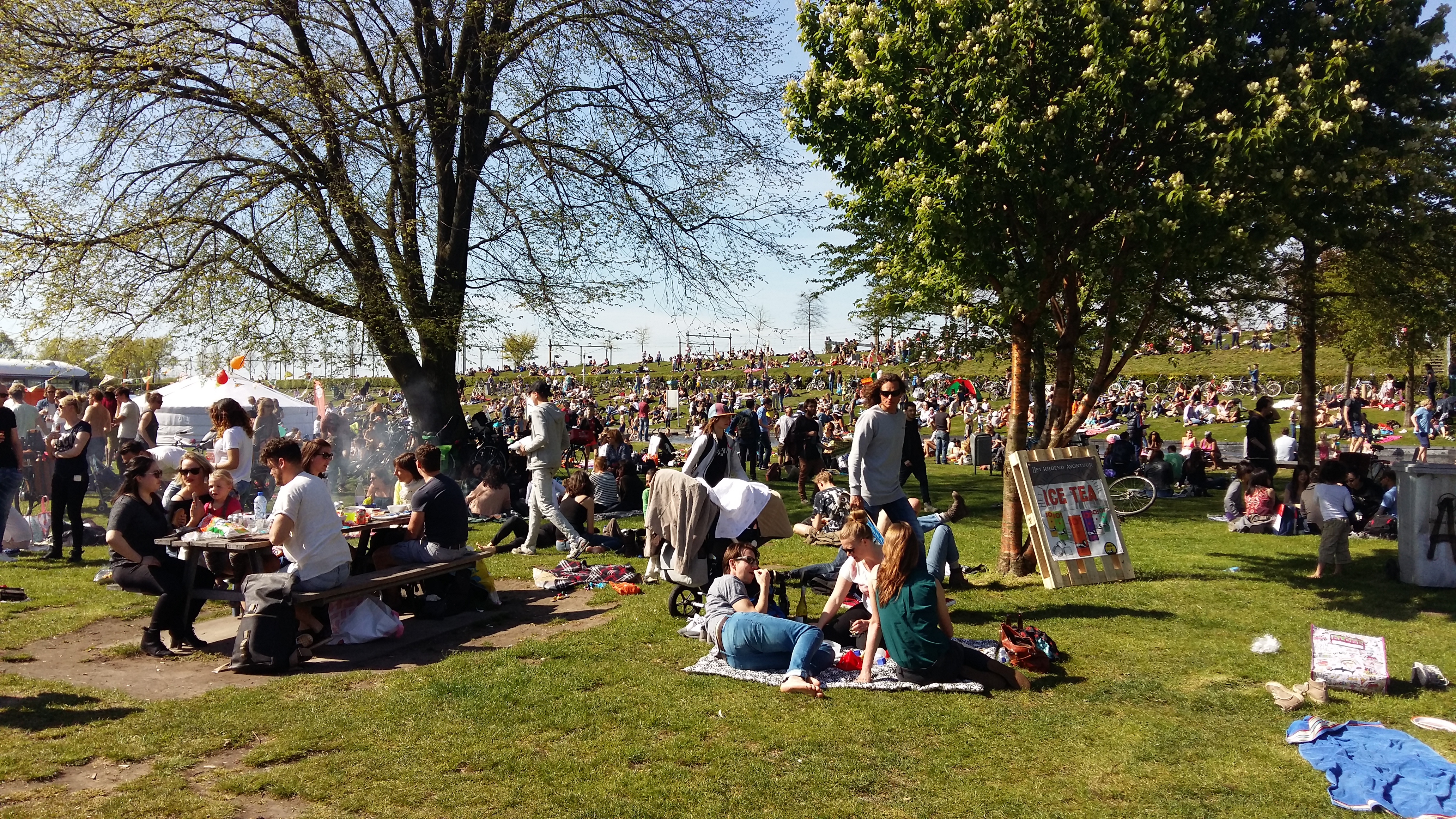 네덜란드 암스테르담 독립기념일