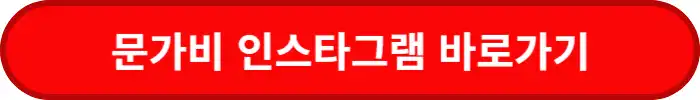 문가비-인스타그램