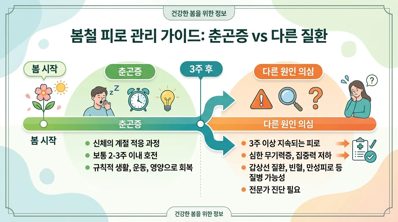 춘곤증 3주 분기점 타임라인 인포그래픽