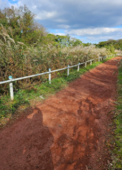 에코랜드 테마파크