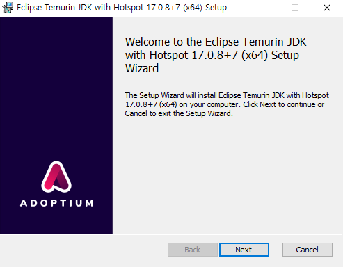 Step1. Temurin JDK 설치 과정 : [Next]