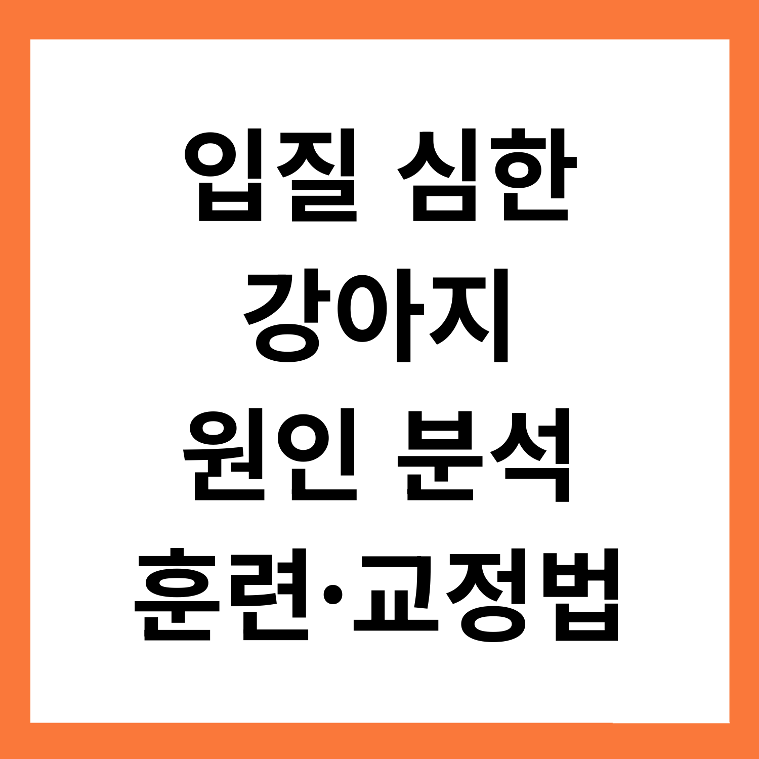 입질 심한 강아지, 이렇게 훈련하세요: 원인 분석 + 교정법