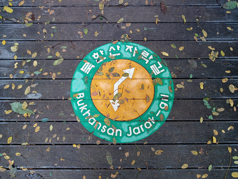 시장따라 나혼자걷기 챌린지