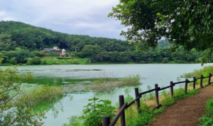 경기도 차박하기좋은곳 TOP 10곳