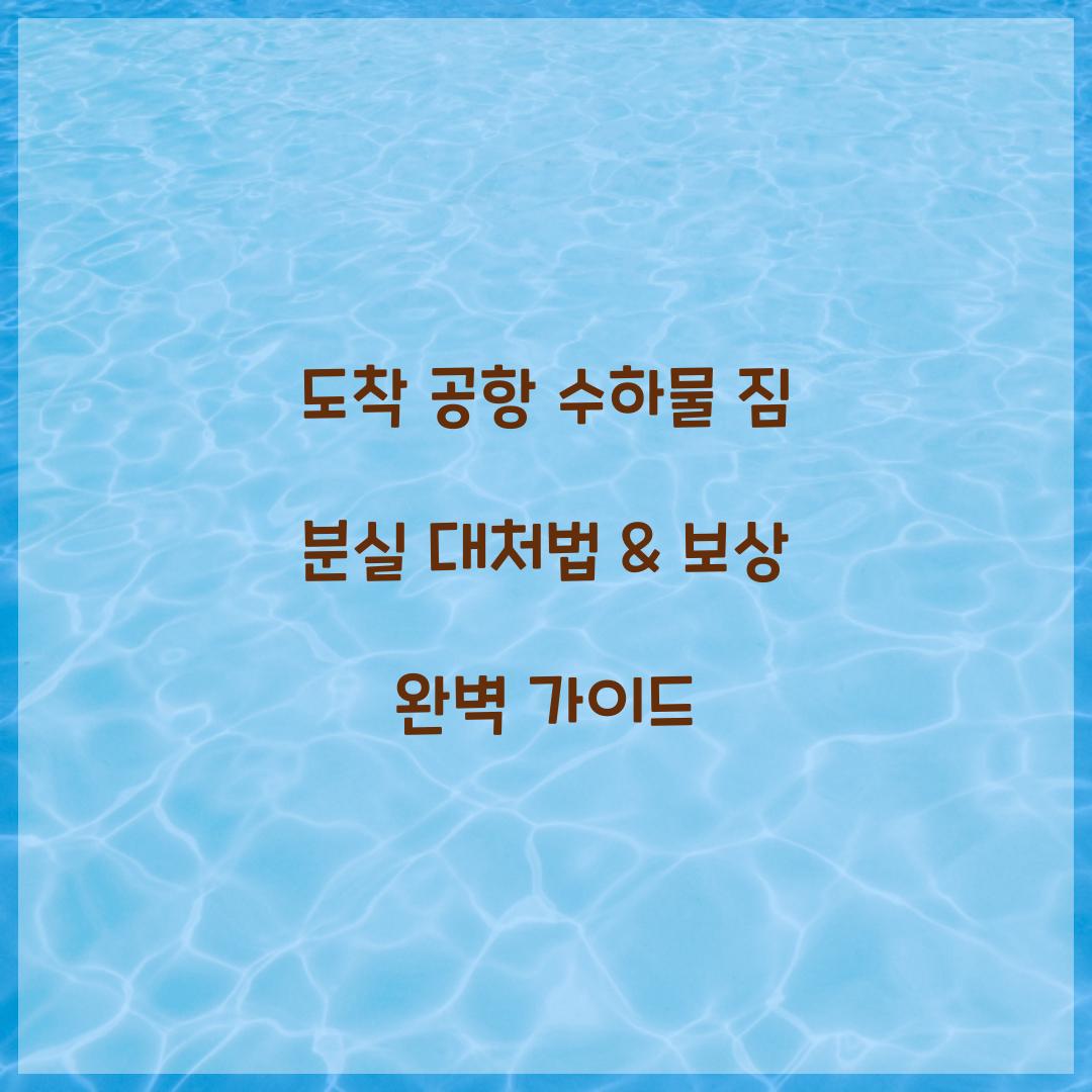 도착 공항 수하물 짐 분실