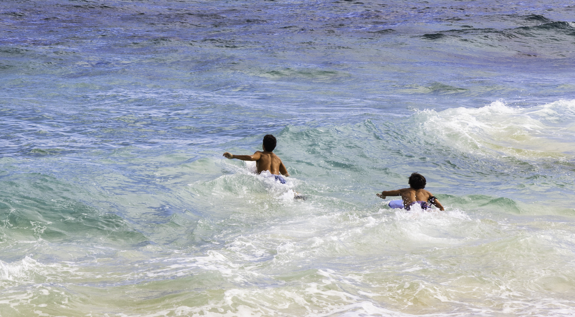 하와이 샌디비치