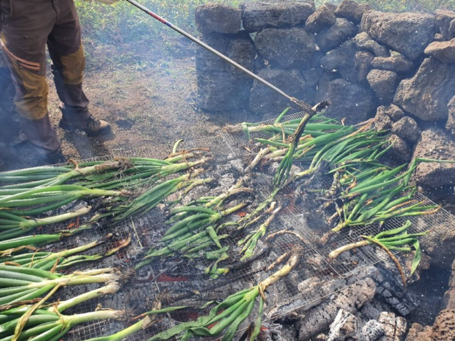 제주 가족여행 대파축제 보롬왓