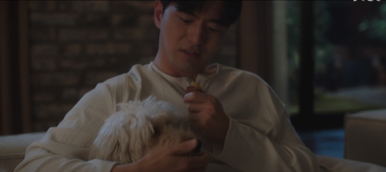 석훈과 애견