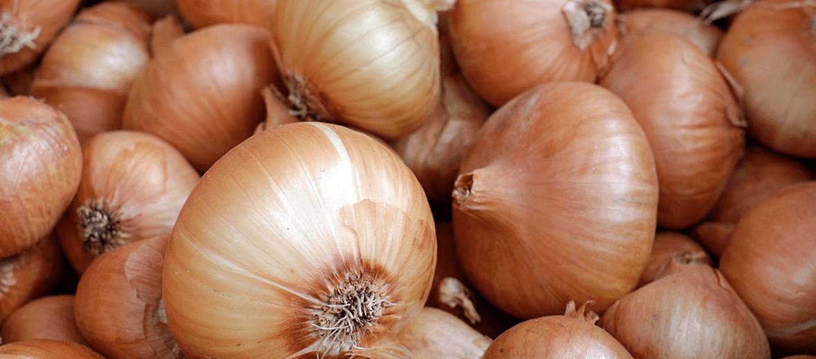 폐렴에 좋은 음식과 관련 있는 사진 - 3