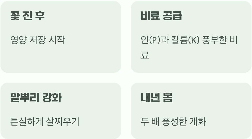 풍성한 꽃을 위한 마지막 한 스푼