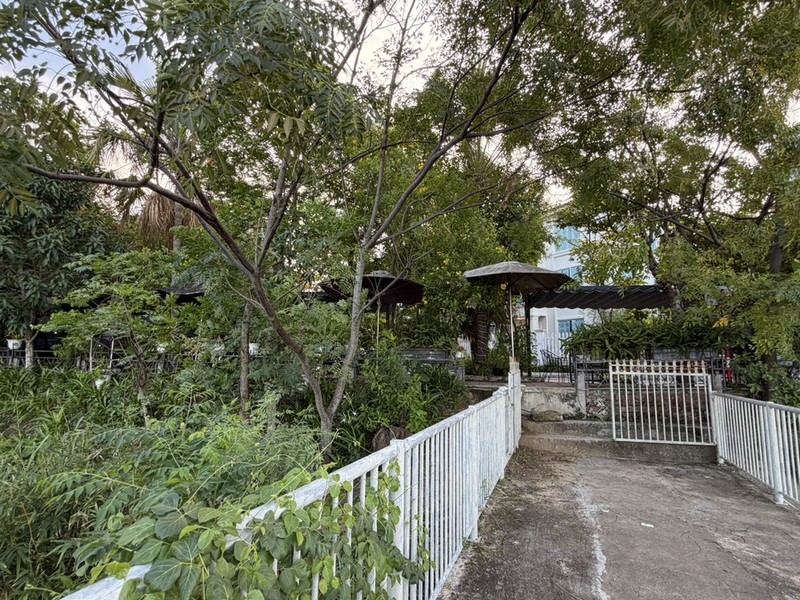 Cafe Lavender 카페 전경