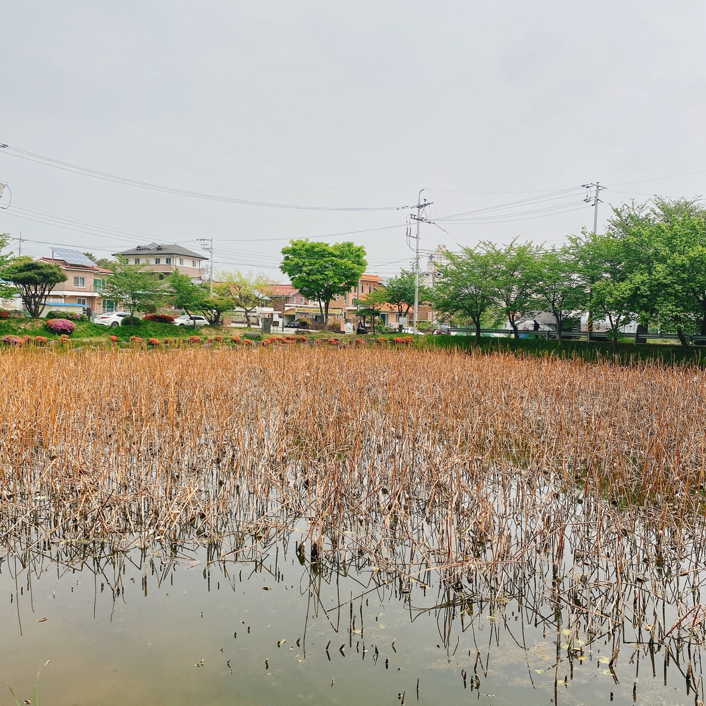 충북 청주 부모산 주봉마을 주봉저수지 한옥 북카페 인문아카이브양림 후마니타스