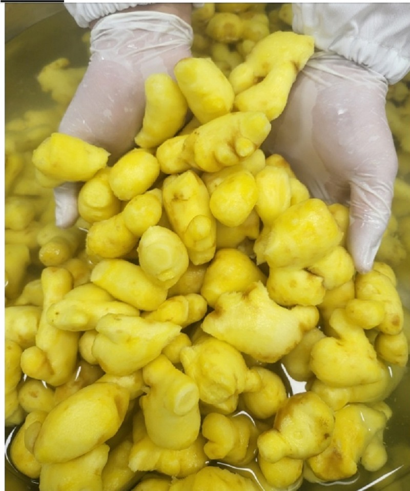 6시내고향-생강청-홍삼이생강날때