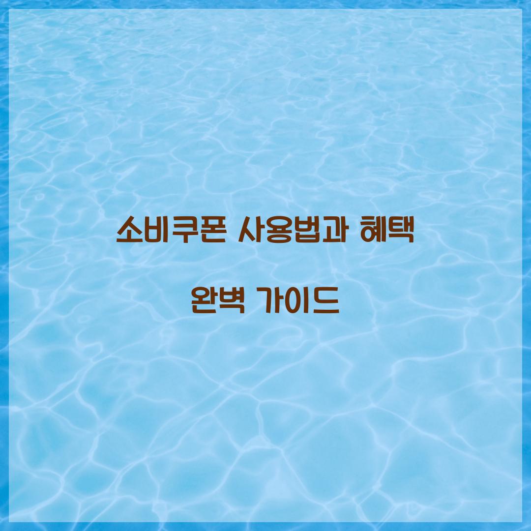 소비쿠폰 사용법