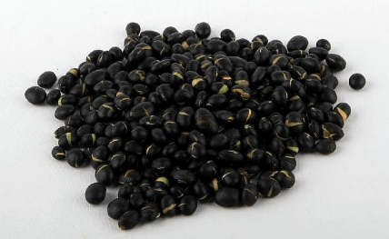 머리카락에 좋은 음식