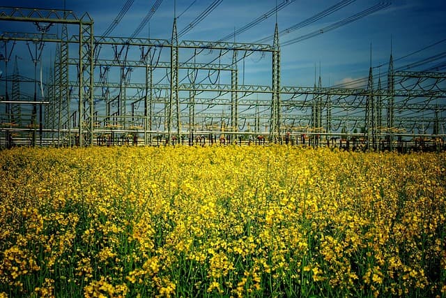 2025년 6월~8월 전기요금 인상 대비 절약 꿀팁