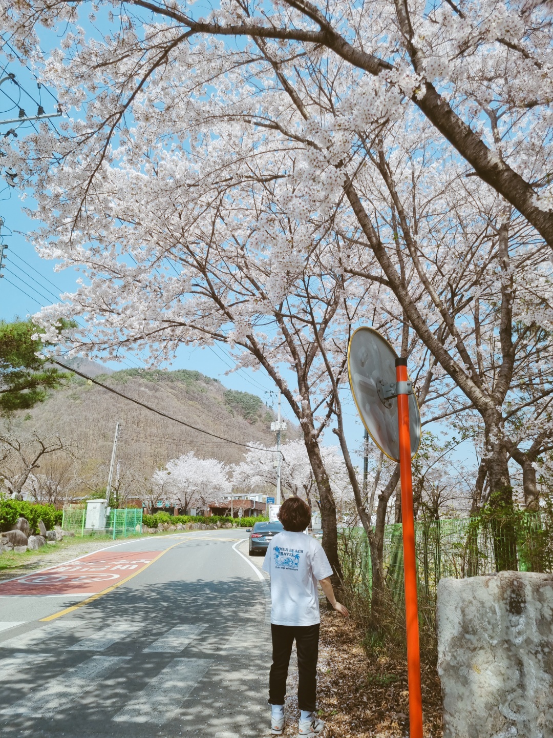 무릉도원