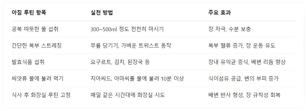 변비 개선을 위한 아침 루틴 구성법