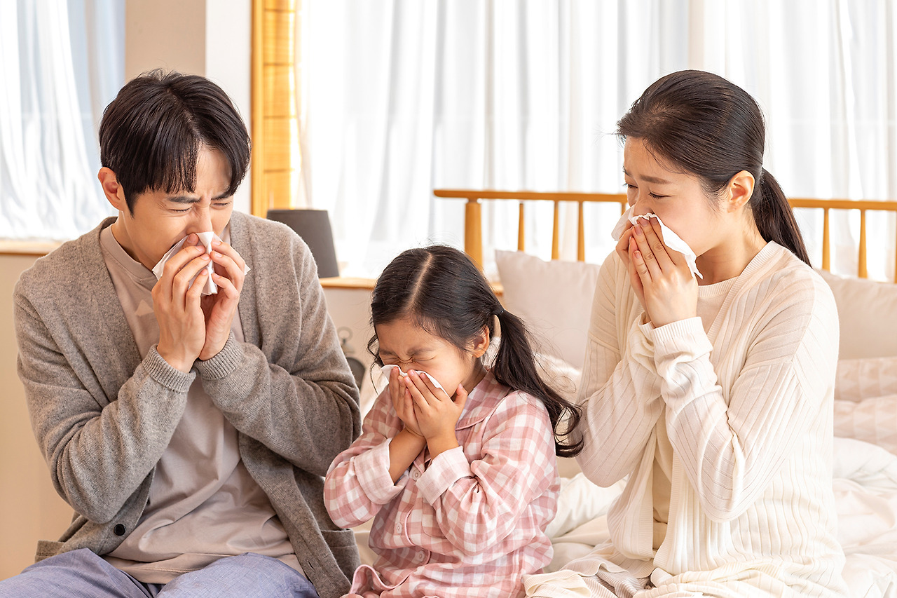 A형독감 증상