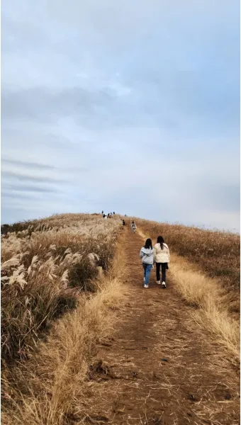 제주 새별오름 오르기 좋은 시간과 주변 명소 정리_7