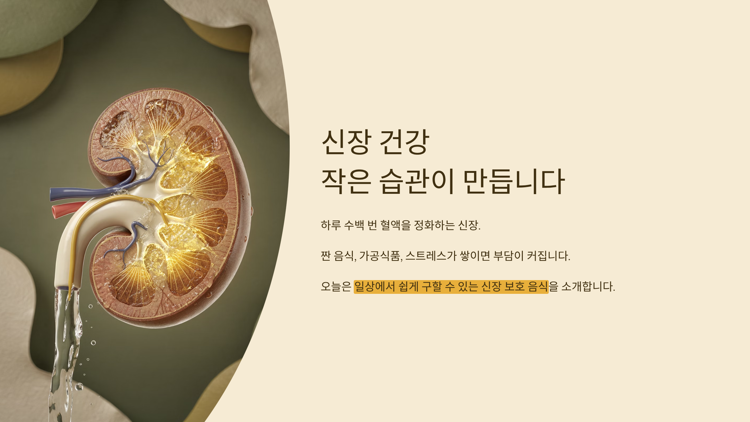 신장에 좋은 음식 먹고 건강하자