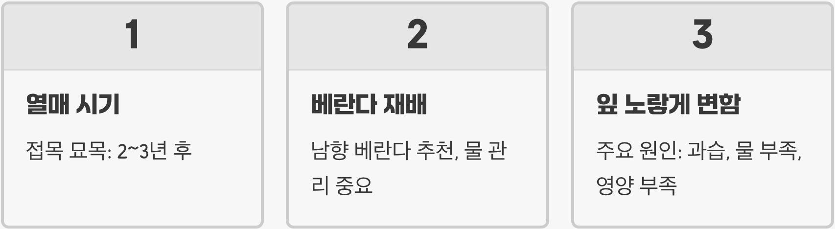 유자나무 묘목 심는 방법, 실패 없는 첫걸음