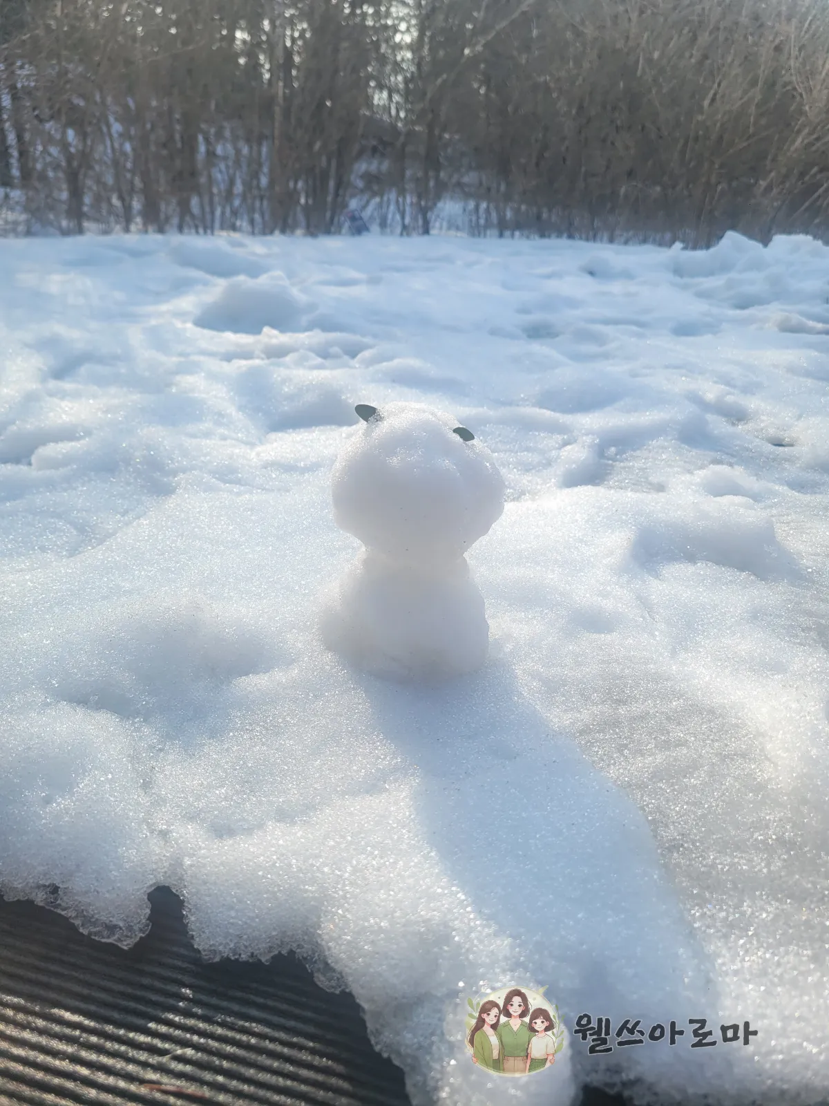 부산오는길-휴게소에서만든-눈사람