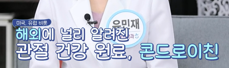 콘드로이친
