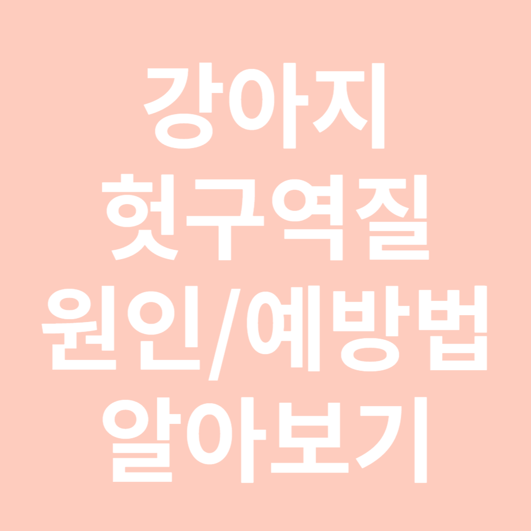 강아지 헛구역질 원인 및 예방 알아보기