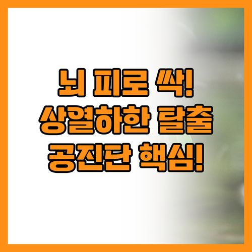 뇌 피로 해소와 상열하한 개선을 돕는..