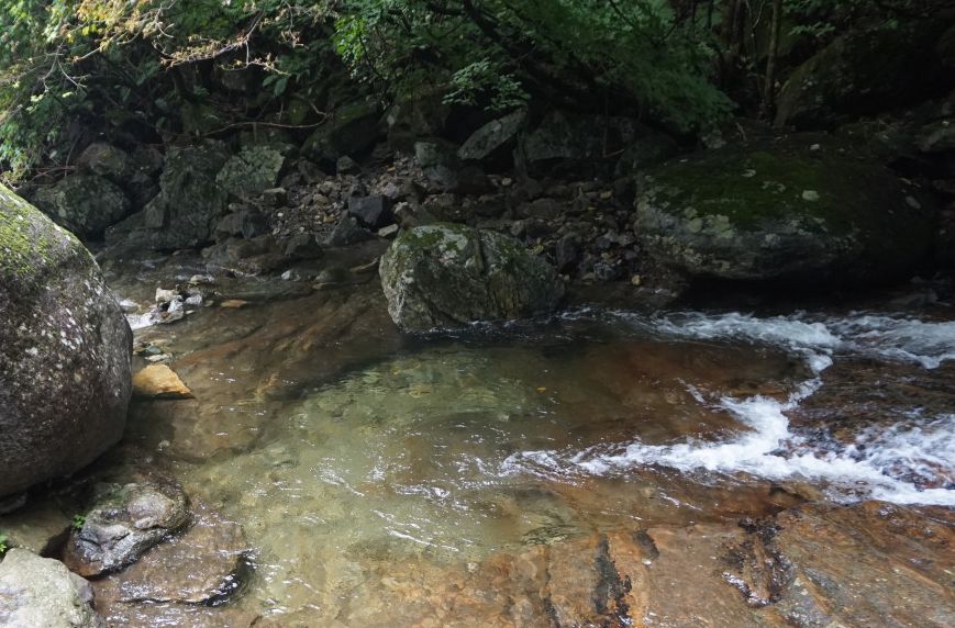 집다리골자연휴양림