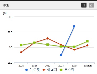 뉴로핏 주가 ROE