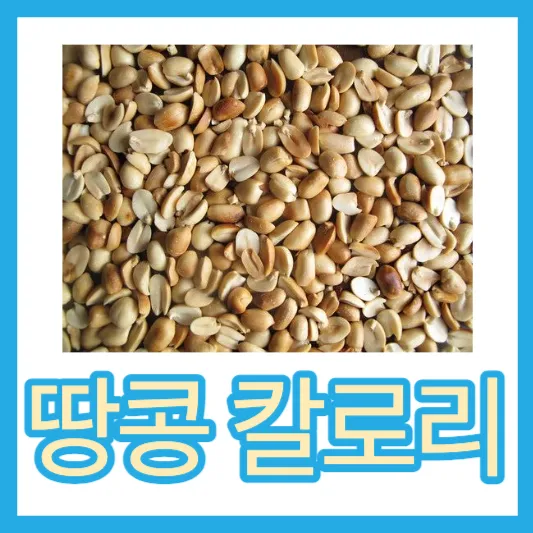 하지만, 땅콩 칼로리는?