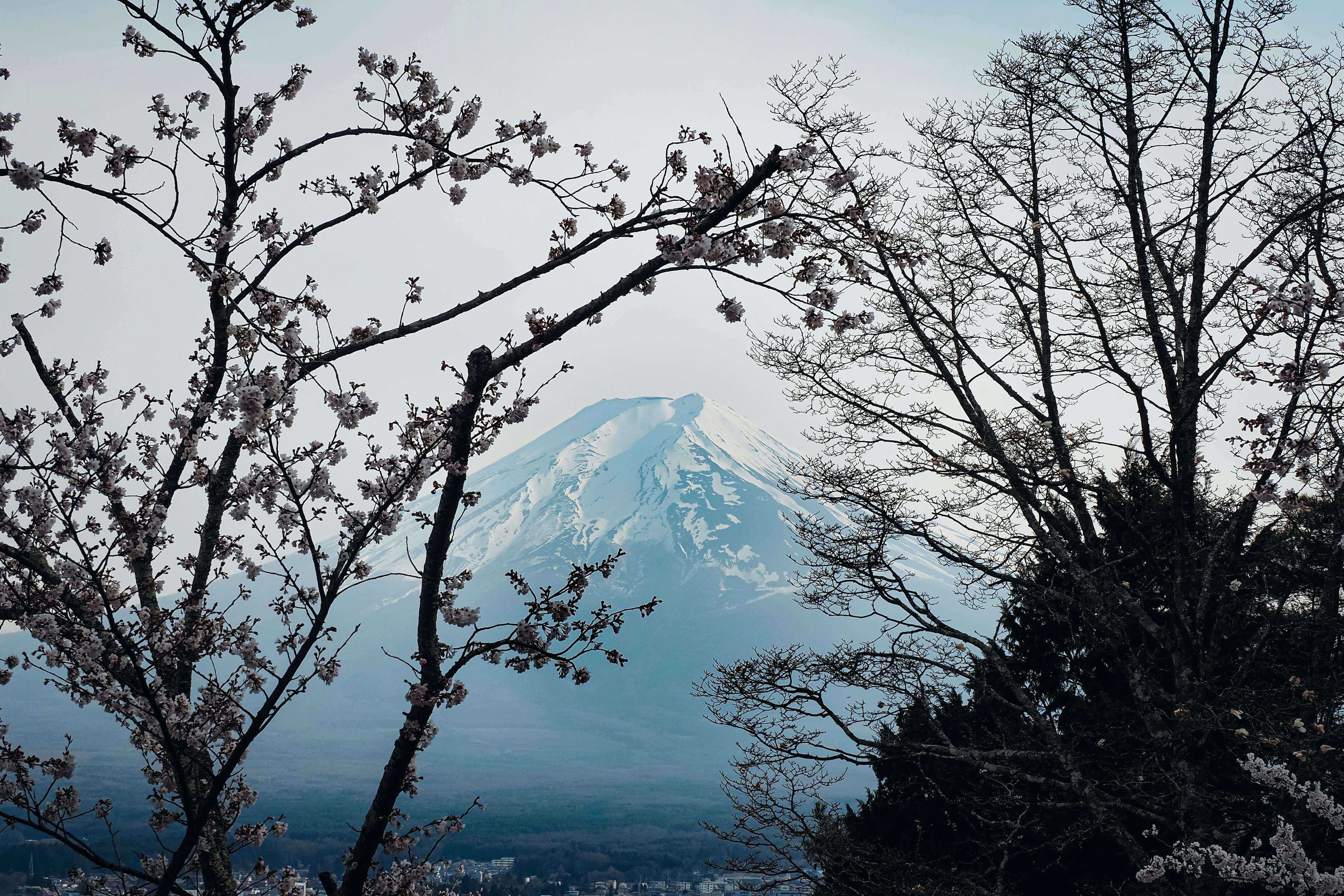 망했다고 생각한 순간, 인생이 바뀌기 시작했다 (3편)