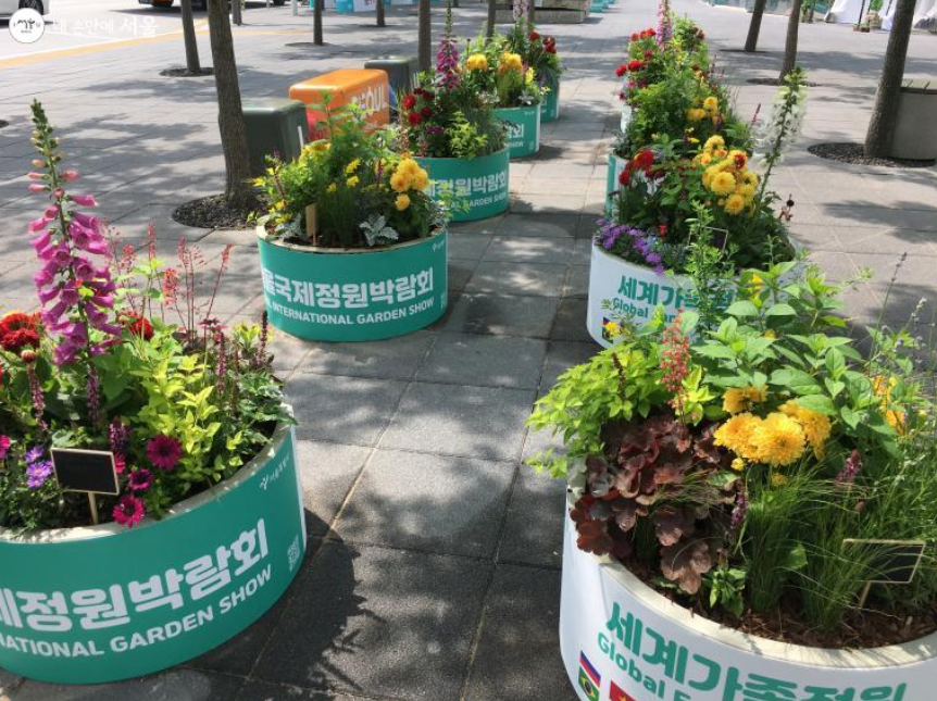 꽃 박람회 거리 전시 사진