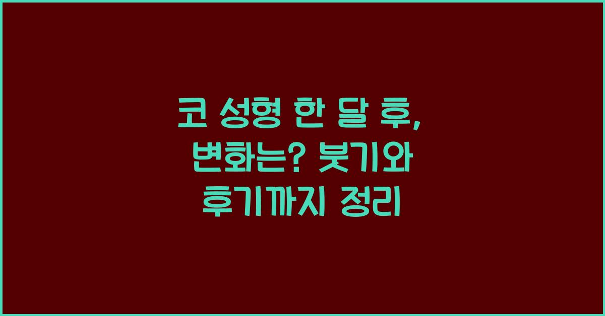 후기) 코 성형 한 달 후, 변화는?