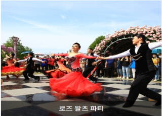 곡성 장미축제2