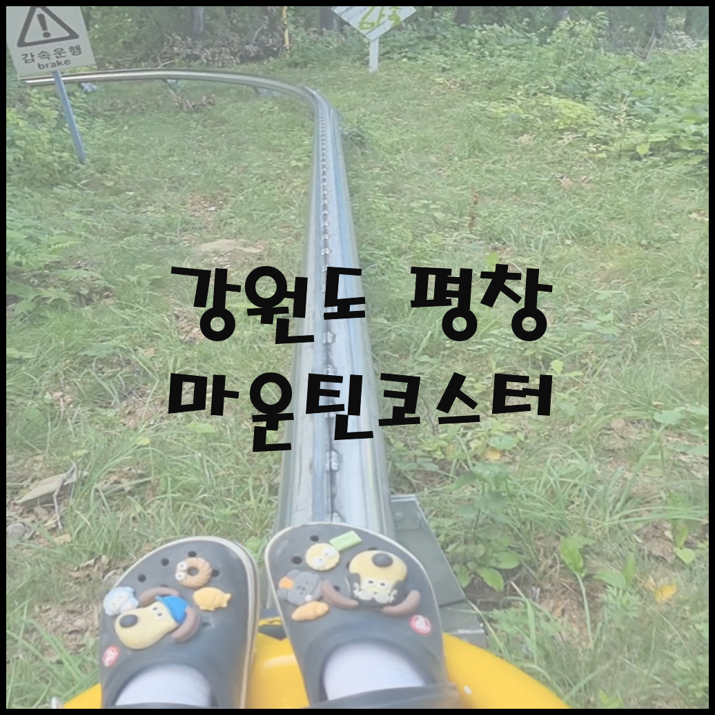 마운틴코스터