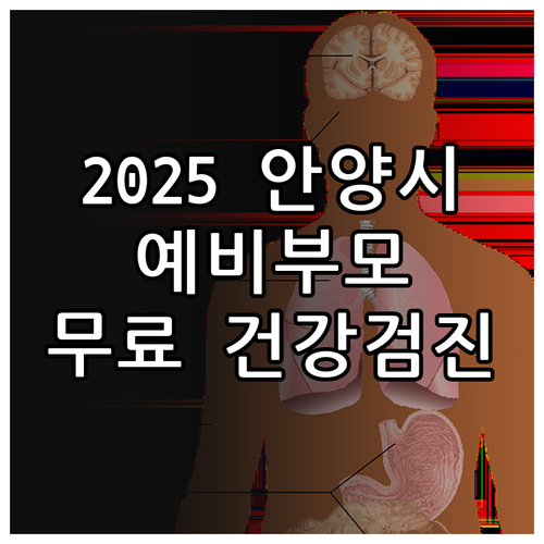 놓치지 마세요 2025 안양시 예비부..