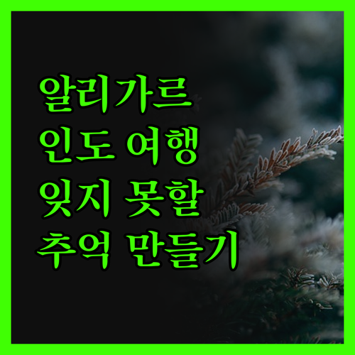 알리가르 여행, 클라스 인 알리가르에
