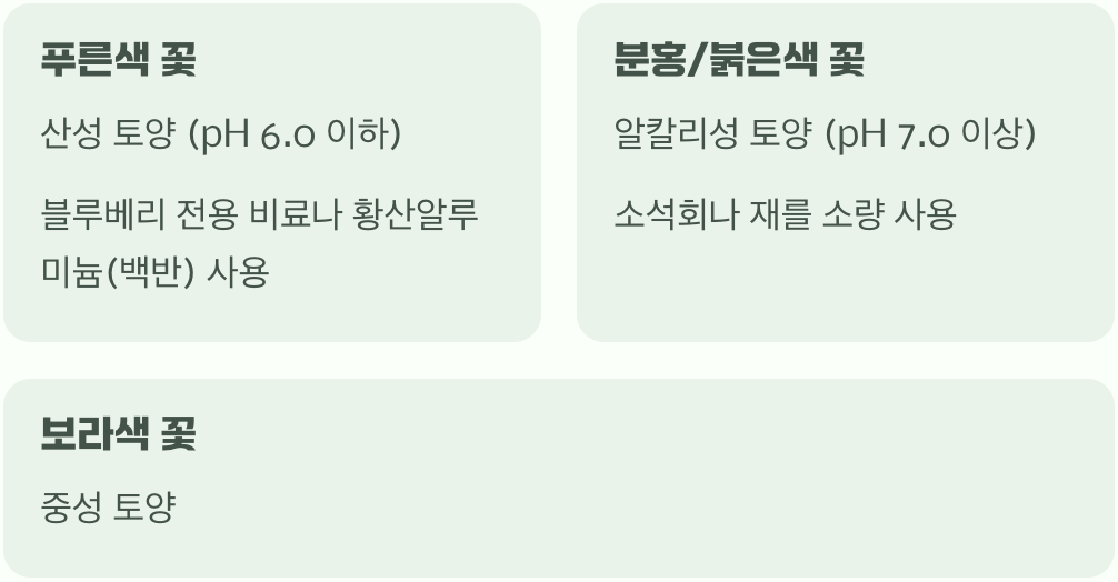 신비로운 꽃 색의 비밀, 흙의 마법