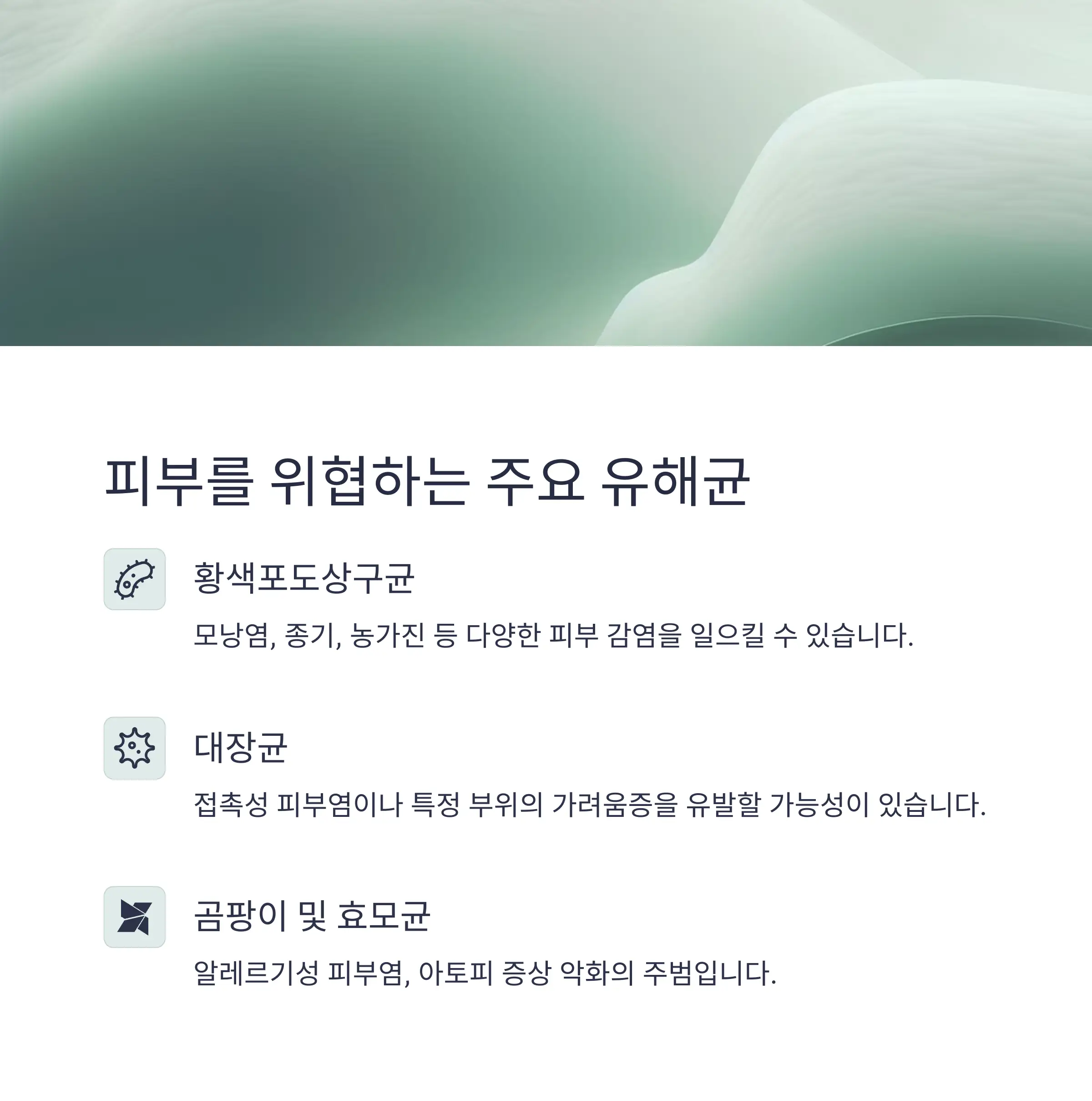 차량시트관리법