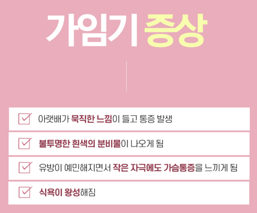 배란기 증상